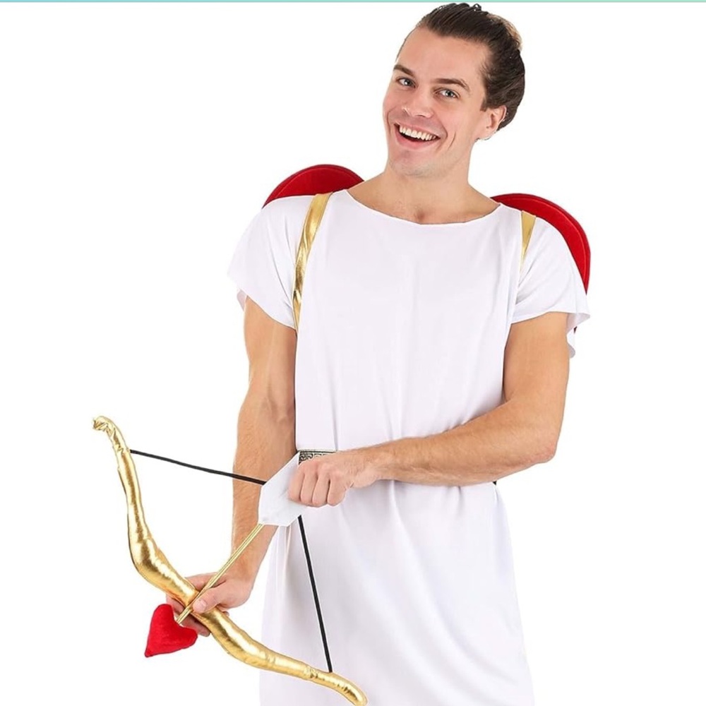 Cupid costume accessories used once!!